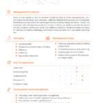 ITO Development Center sample report with management summary, strengths, development potential, key competences and recommendations.